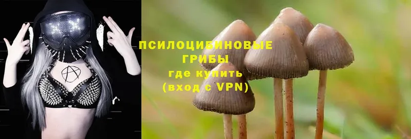 Псилоцибиновые грибы MAGIC MUSHROOMS  продажа наркотиков  Кропоткин 